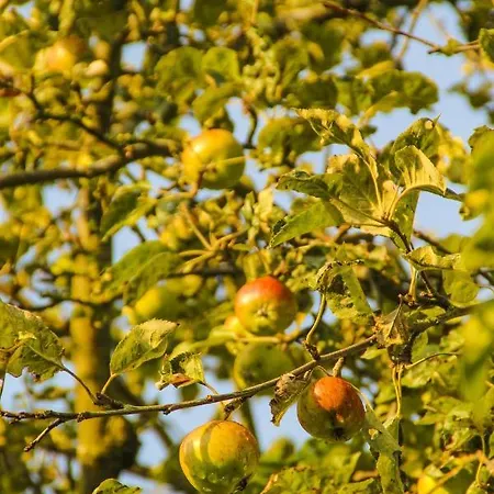 Appartement Gutshof Dubnitz Gutshof Dubnitz -ferienwohnung 8 